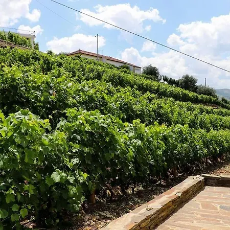 Quinta Do Monte Bravo -douro - Casa Da Horta *