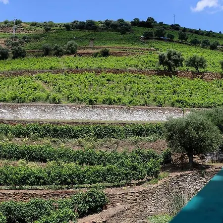 Quinta Do Monte Bravo -douro - Casa Da Horta Hébergement de vacances *