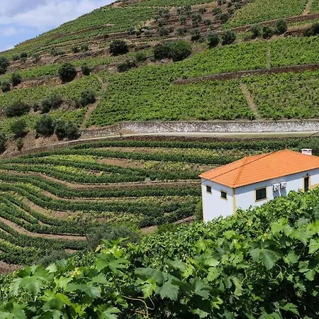 Quinta Do Monte Bravo -douro - Casa Da Horta *