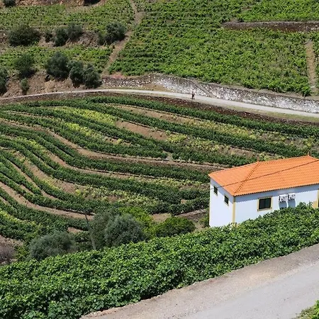 Hébergement de vacances Quinta Do Monte Bravo -douro - Casa Da Horta *