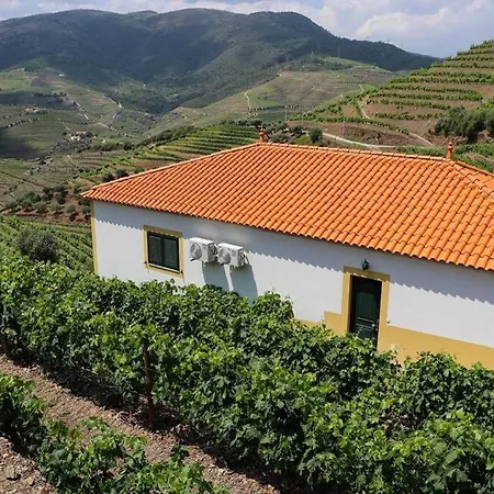 Quinta Do Monte Bravo -douro - Casa Da Horta Hébergement de vacances Ervedosa do Douro