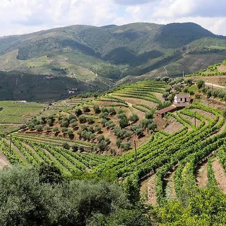 Quinta Do Monte Bravo -douro - Casa Da Horta Ervedosa do Douro
