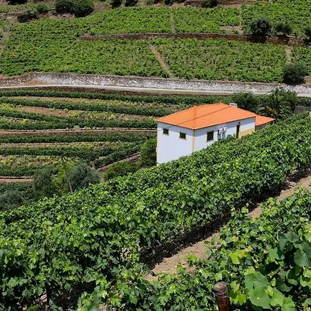 Hébergement de vacances Quinta Do Monte Bravo -douro - Casa Da Horta Ervedosa do Douro
